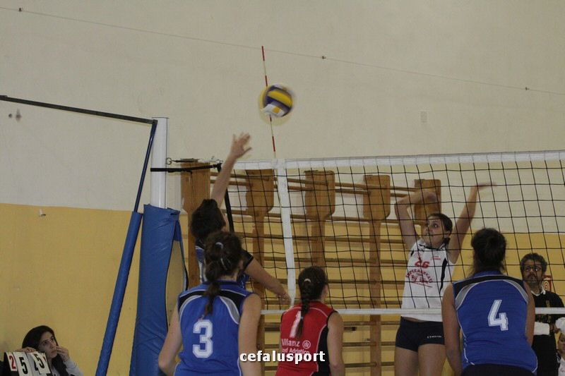 111119 sport 247_tn.jpg